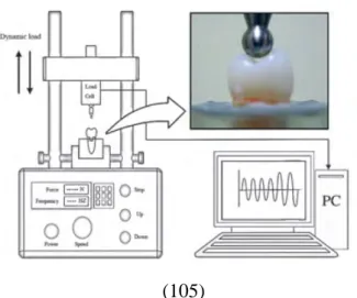 FIGURE 24 : Schéma du test 