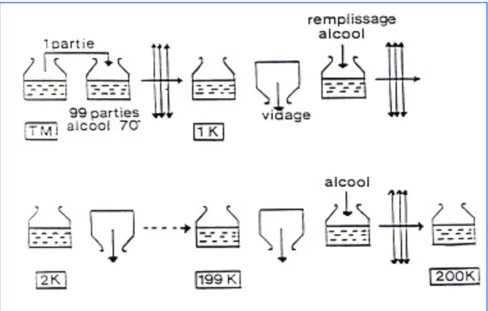 Figure	
  3	
  :	
  méthode	
  de	
  dilution	
  korsakovienne.	
   	
  