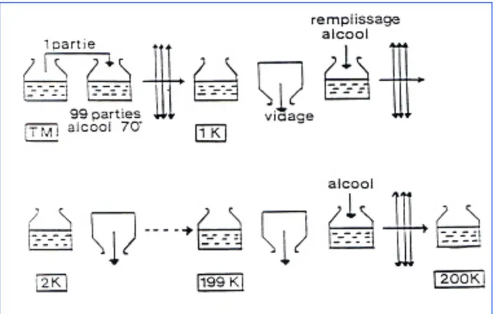 Figure	  3	  :	  méthode	  de	  dilution	  korsakovienne.	   	  