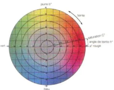 Figure 8 : Un disque de l’espace colorimétrique C.I.E. (22) 