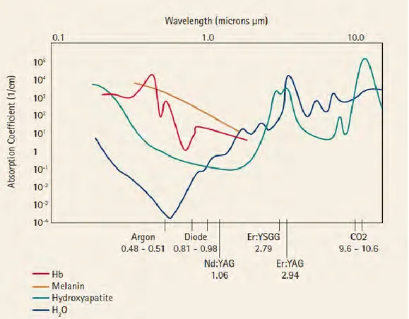 Figure 7 : L'absorption par les chromophores de l'énergie du faisceau dépend de sa longueur d'onde (106) 