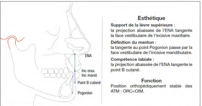 Figure 7. Les déterminants du résultat esthétique et fonctionnel[21] 