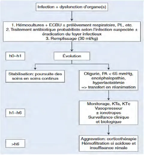 Figure 3  (21) Schéma de prise en charge hospitalière d’une cellulite diffuse impliquant un choc  septique