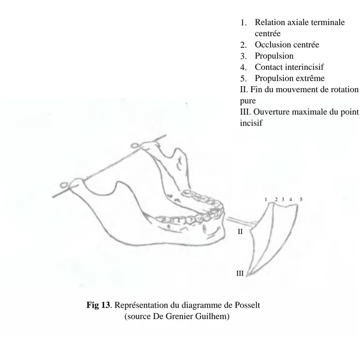 Fig 13. Représentation du diagramme de Posselt  (source De Grenier Guilhem)