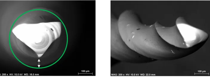 Figure 3 et 3 bis : spécificités de la pointe travaillante de la lime TS1 au microscope életronique à  balayage (x200), de face et de profil (clichés MEB personnels réalisés à l’INSA Toulouse) 