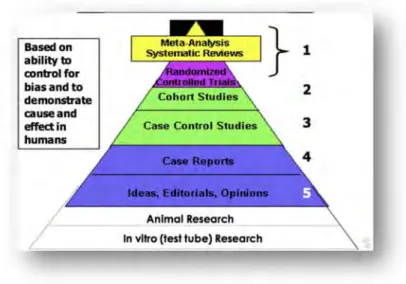 Figure 3 Pyramide du niveau de preuve en fonction du type d'étude. (37) 