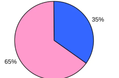 Figure 4.3 Répartition hommes / femmes 