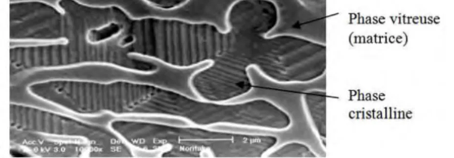 Fig 10 : microphotographie en MEB d’une céramique (49) 