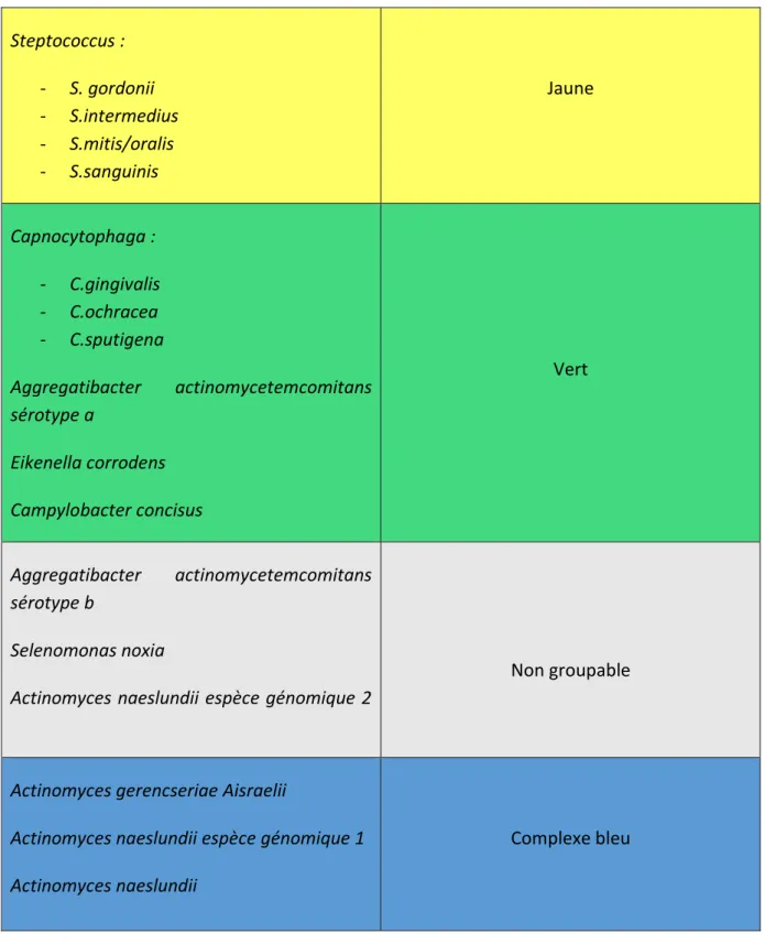 Figure 20 : classification des bactéries en complexes selon Socransky 