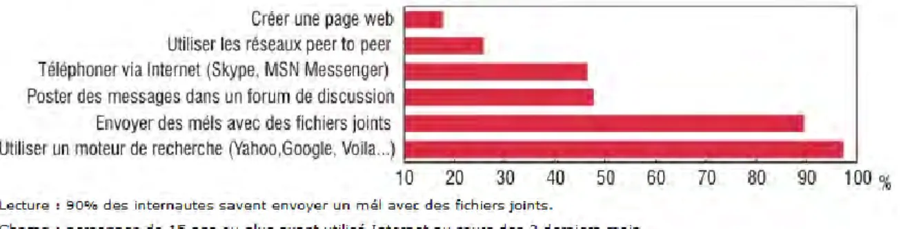 Figure 8. Compétences Internet en 2010 en France (2) 