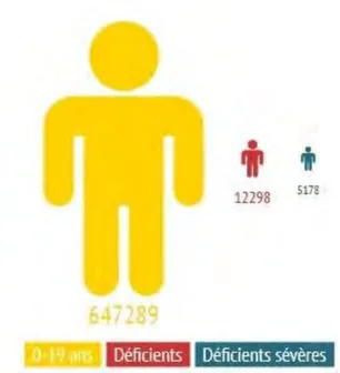 Figure 5: Epidémiologie du handicap de l'enfant en Midi Pyrénées d’après le rapport sur le handicap en Midi Pyrénées en  2010  