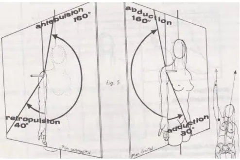 Fig. 6 : Les mouvements de l’épaule [16] 