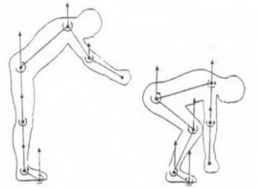 Fig. 16 :  Effet de la gravité sur le maintien du corps [28] 