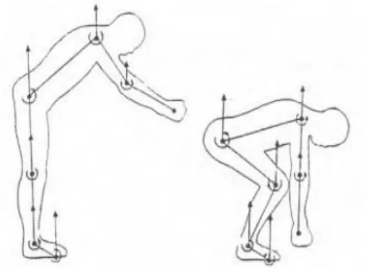 Fig. 16 :  Effet de la gravité sur le maintien du corps [28] 