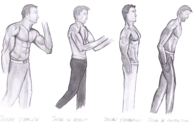 Illustration 8 : Les différentes catégories de postures. Dans l'ordre : Approche, retrait, expansion et contraction