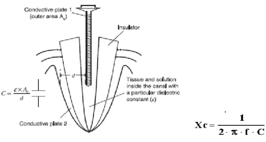 Figure  8 : Modèle de réactance appliquée à la dent 
