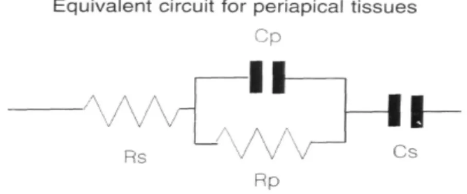 Figure  9 : Modèle électrique simplifié  de Meredith 