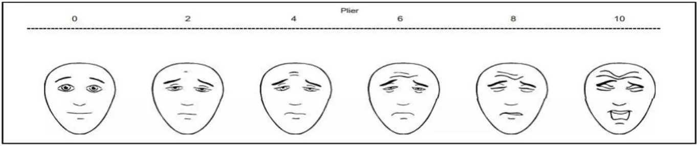 Figure 7 : Echelle des 6 visages (27). 