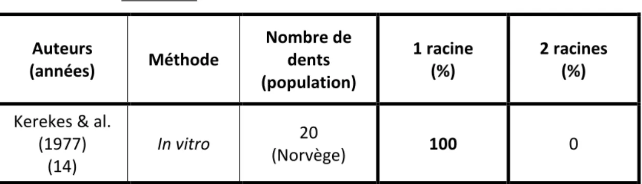 Tableau 5 : Nombre de racines dans l’incisive mandibulaire  Auteurs  (années)  Méthode  Nombre de dents  (population)  1 racine  (%)  2 racines  (%) 