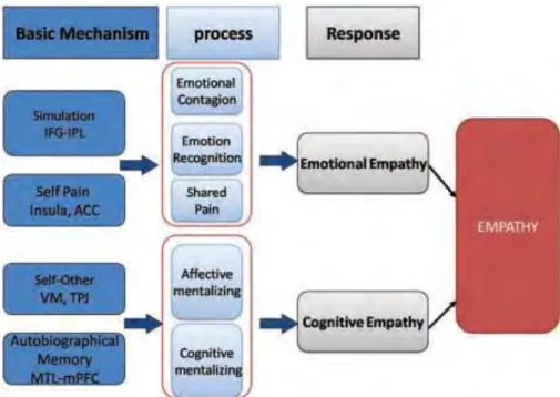 Figure 2. Les éléments qui participent à l’empathie émotionnelle et cognitive. Chaque élément est  associé à des fonctions distinctes qui composent la réponse empathique