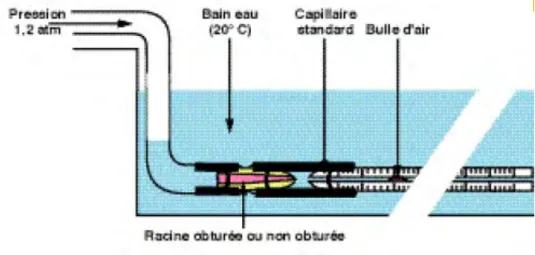 Figure	  4	  :	  Schéma	  du	  dispositif	  de	  mesure	  des	  fluides	  sous	  pression,	  Emery,	  2002,	   (18) 	  