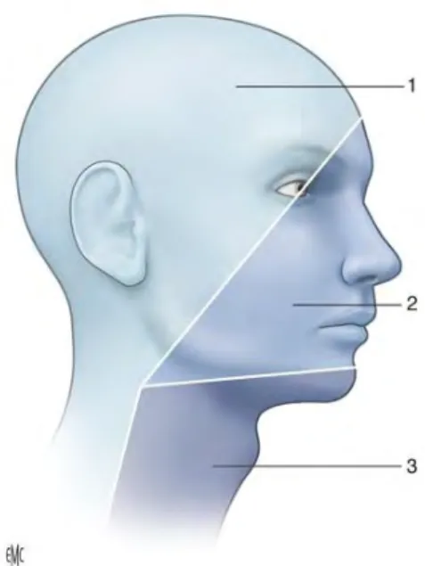 Figure 1.4 : Territoires veineux de la face et du cou 1. Territoire de la veine jugulaire externe 