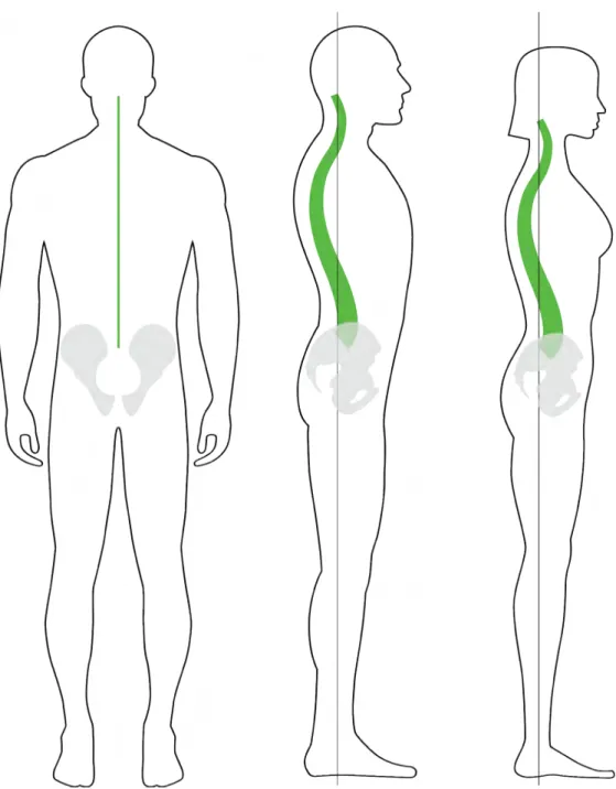 Figure 9 : La posture idéale sur plan frontal et sagittal