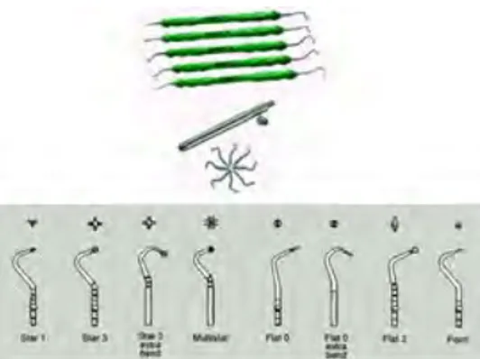 Figure 5 : Les différents instruments spécifiques Carisolv® (34) 