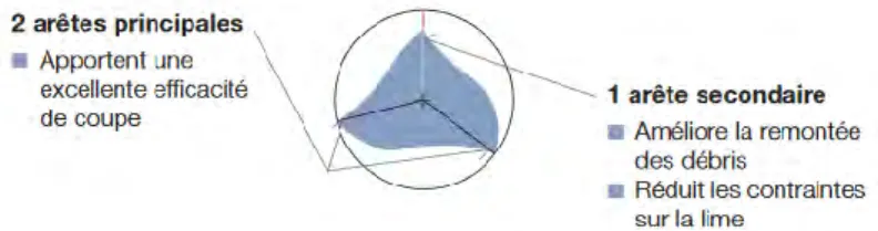 Figure 9 : section en triple hélice, par Micro Mega 