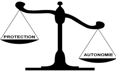 Figure 1 : Balance des capacités selon Grisso et Applebaum  (17)
