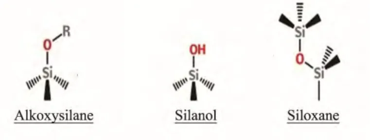 Figure 10 : Groupe Silicium-Oxygène d'importance dans le Procédé Sol-Gel