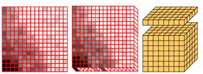 Figure 3: Formation de l'image en mode numérique, RX: Rayons X (30)  