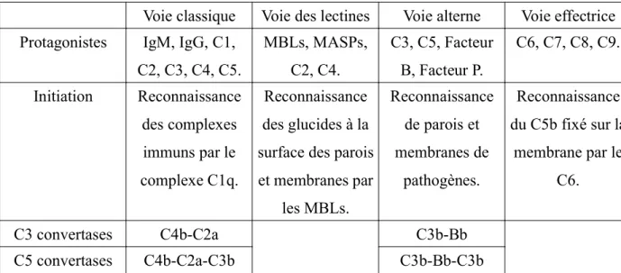 Tableau 1: Les voies d'activations et la voie effectrice du système du complément.