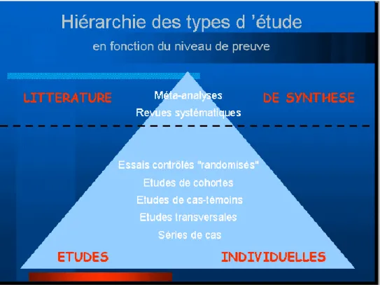 Fig 18: pyramide représentant les différentes études selon leur niveau de preuves (94) 