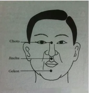 Illustration 8 : points Choto, Jinchu et Gekon  (7) 