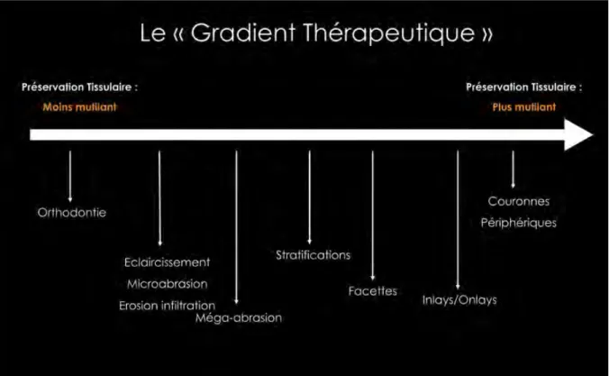 Fig 1.  Le Gradient Thérapeutique, Gil TIRLET et Jean-Pierre ATTAL