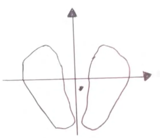Figure 3: statokinésigramme d'un sujet normal (14) 