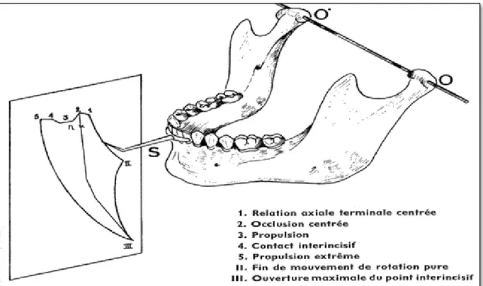 Figure 6 : schéma selon Posselt, enregistrement de la surface des mouvements dans le  seul plan sagittal médian