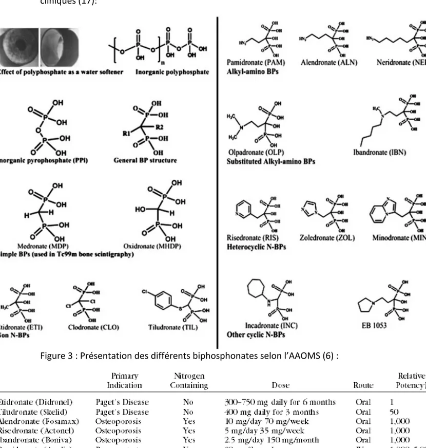 Figure 2 :  Structure des différents biphosphonates utilisés en applications  cliniques (17): 