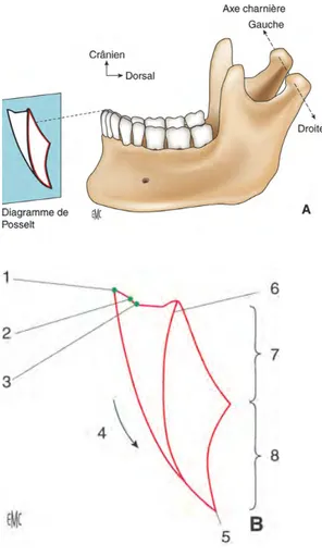 Figure 9 et 10: Diagramme de Posselt 