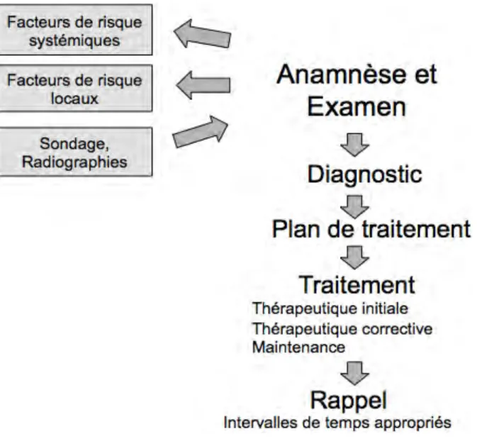 Figure	  18	  :	  Démarche	  clinique	  pour	  la	  prise	  en	  charge	  parodontale	  (68)	  