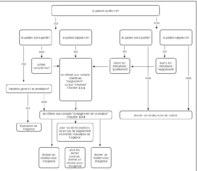 Figure 1: Algorithme de l’urgence par téléphone Y.BOUCHER (3)