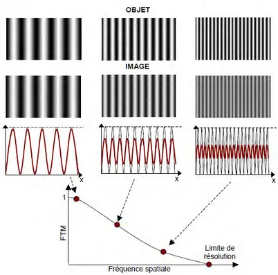 Figure 7 : Dégradation du contraste avec l’augmentation de la fréquence spatiale [65] 