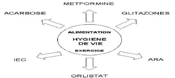 Figure 3 : Illustration des stratégies de prévention du diabète de type 2 : les mesures hygiéno-diététiques  sont au cœur de l’action, éventuellement complétées par l’une ou l’autre intervention pharmacologique chez  les sujets à haut risque