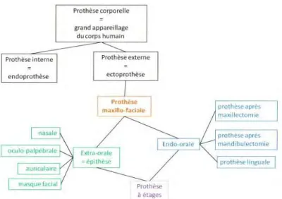 Figure 1 : les champs d’activités en prothèse maxillo-faciale. (La prothèse maxillo-faciale  2015)