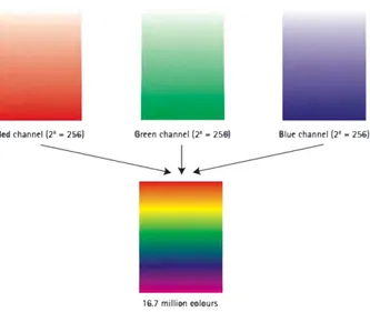 Fig. 6 : Représentation schématique d’un système à 8bit par canal de couleur 