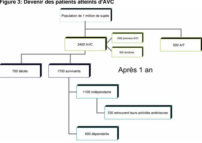 Figure 3: Devenir des patients atteints d'AVC 