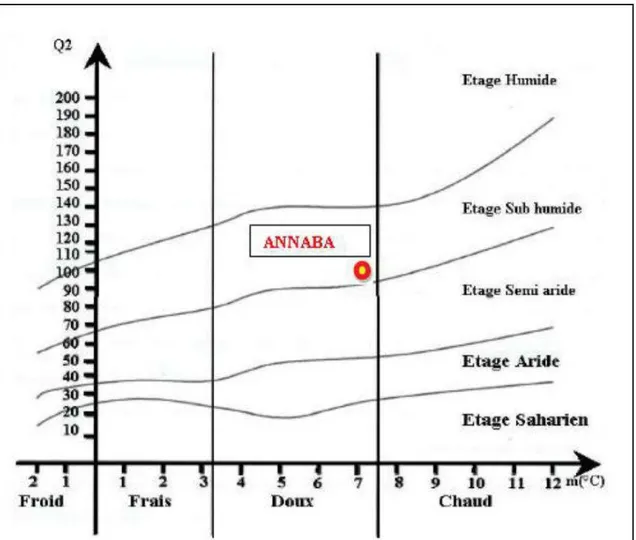 Figure 21 : Position de la région d’Annaba dans le Climatogramme d’Emberger 