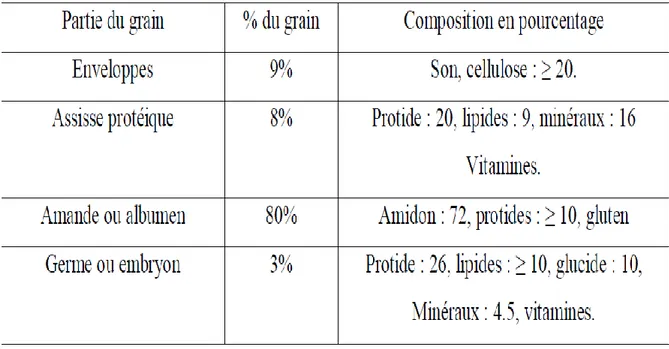 Tableau 3 : Composition des différentes parties du grain (Roudant et al., 2005). 
