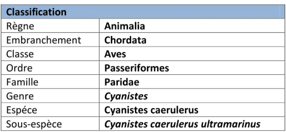 Tableau 4 : Classification du Cyanistes caerulerus  Classification  Règne  Animalia  Embranchement  Chordata  Classe  Aves  Ordre  Passeriformes  Famille  Paridae  Genre  Cyanistes 